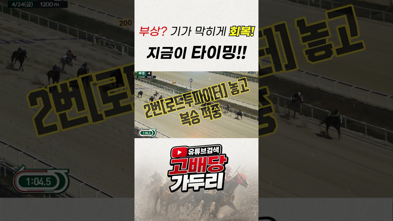 지금이 배당 타이밍!!!