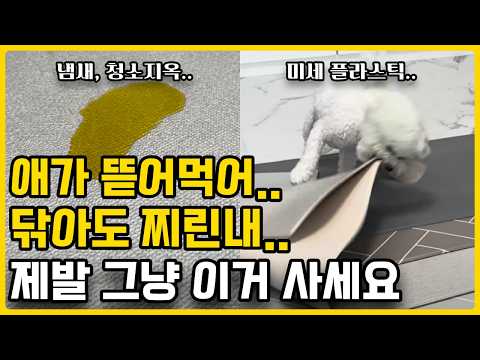 강아지 매트 제발 그만 사세요.. 5번 실패하고 이중지출 완벽 차단한 매트시공 정착 후기ㅣ강아지 미끄럼 방지 매트별 장단점 비교 미세플라스틱 없는 슬개골 예방 매트 추천