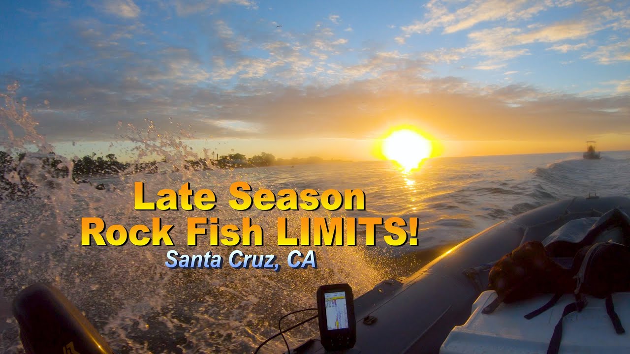 Late season limits 12 15 20