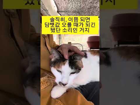 소자본 창업 추전:12년 전 차려서 억대 매출 유지중