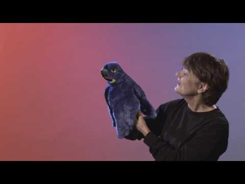 Folkmanis® Blue Macaw Puppet Demo - Retired