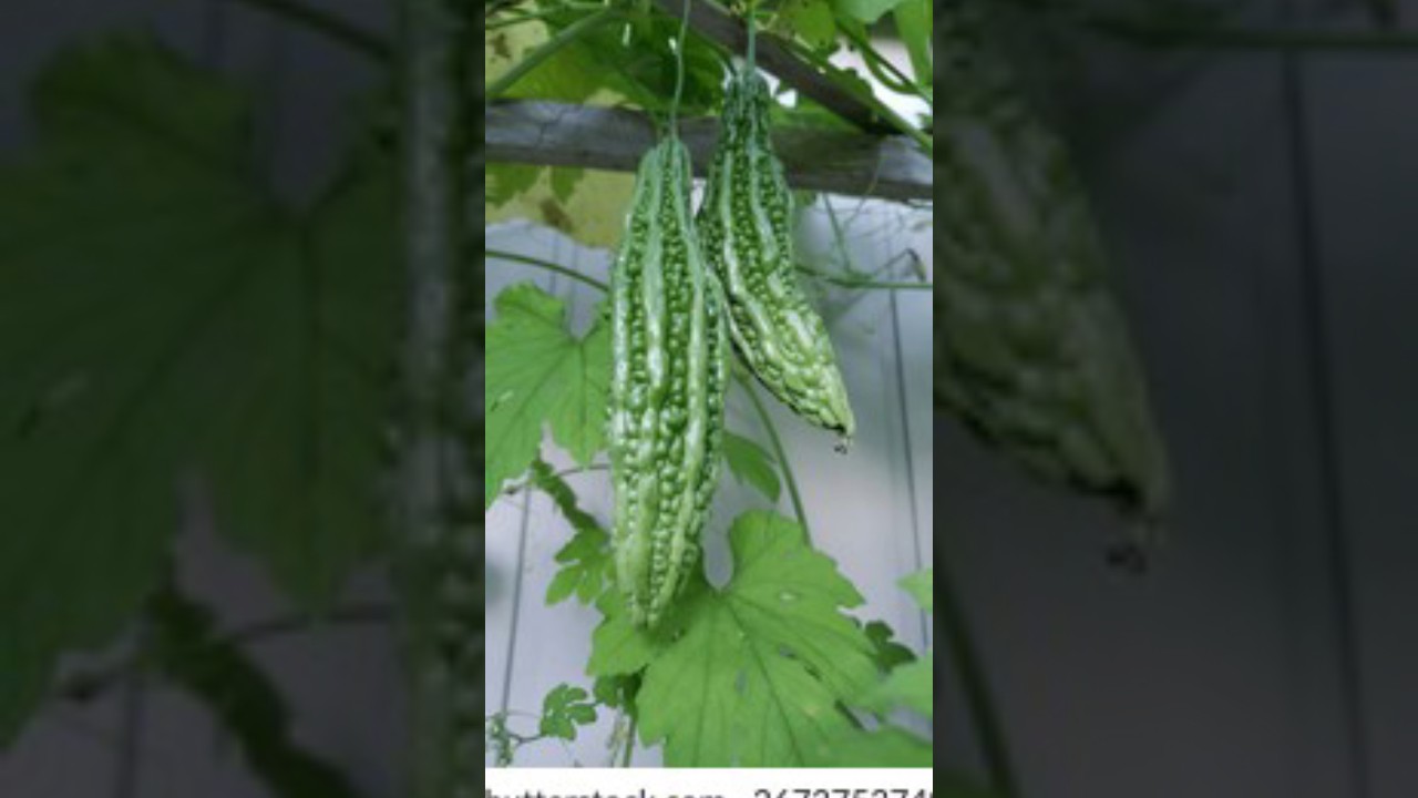 फरवरी में बोई ये 5 फसलें 🚜💸 | High Profit CropsFebruary Farming Secrets 🤫 | 5 Fasale Jo Paisa Barasa