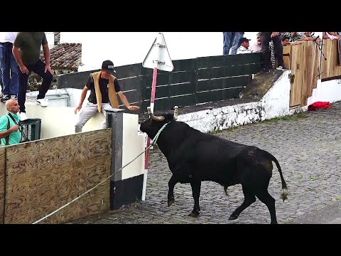 Tourada à corda no Raminho, 16 de junho de 2025