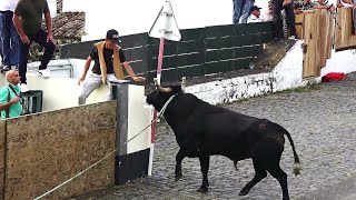 Tourada à corda no Raminho, 16 de junho de 2025