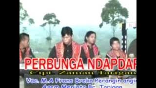 'PERBUNGA NDAPDAP' - LAGU KARO