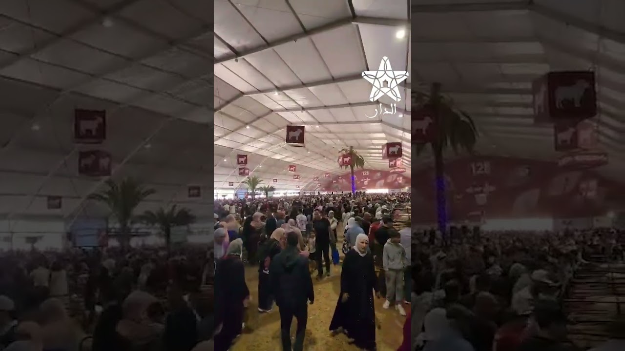 فضاء المواشي يعرف إقبال قياسي ومتواصل في ملتقى الفلاحة بمكناس