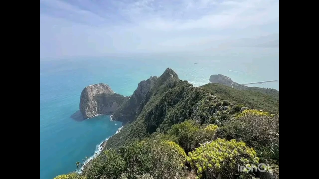 جمال بجاية ،🇩🇿🇩🇿🇩🇿