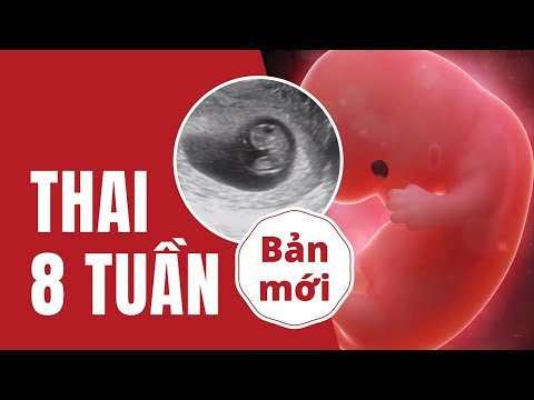 Video Thai 8 Tuần Phát Triển Như Thế Nào? - youtube