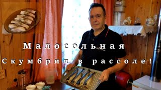 Малосольная Скумбрия в рассоле!