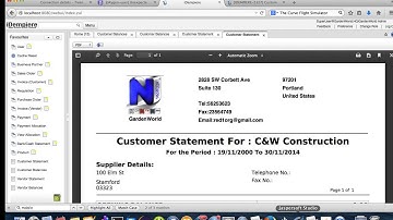 Financials JasperReport in ERP