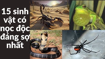 15 Sinh Vật Có Nọc Độc Đáng Sợ Nhất Trái Đất #SinhVậtĐộc #NọcĐộc #KhámPháTráiĐất #SinhHọc