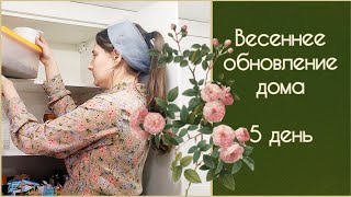 ПОРЯДОК И ОРГАНИЗАЦИЯ  В КУХОННЫХ ШКАФАХ. ВЕСЕННЕЕ ОБНОВЛЕНИЕ ДОМА🌷