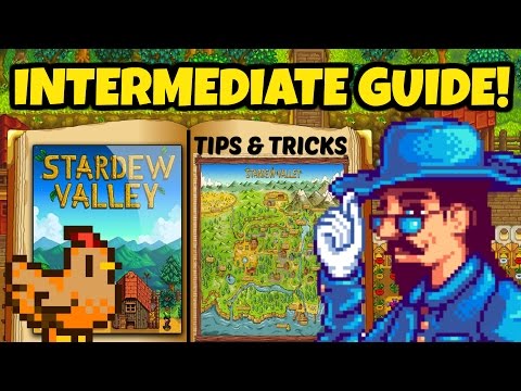 Video: Stardew Valley -jääfestivaali Ja Kilpailuvinkit Selitetty