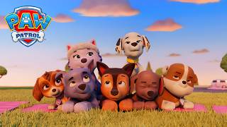 Yavru Köpekler Yoga Deniyor! (Derleme) | Paw Patrol Türkiye | Çocuklar İçin Çizgi Filmler