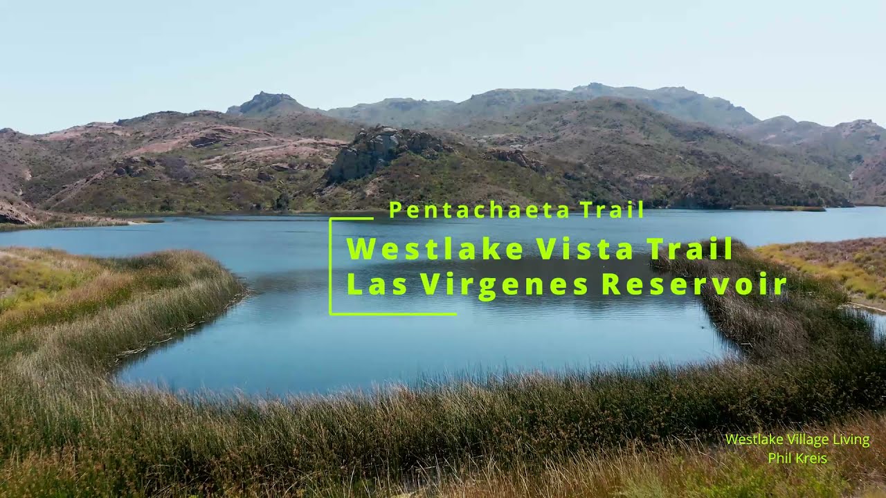 Westlake Village Pentachaeta Trail. Westlake Vista Trail Hike May 2021