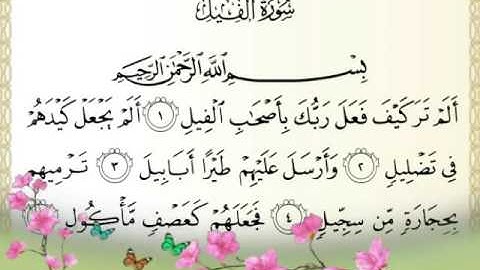 #سورة الفيل||تلاوة معاذ الجماز #زد-رصيدك5