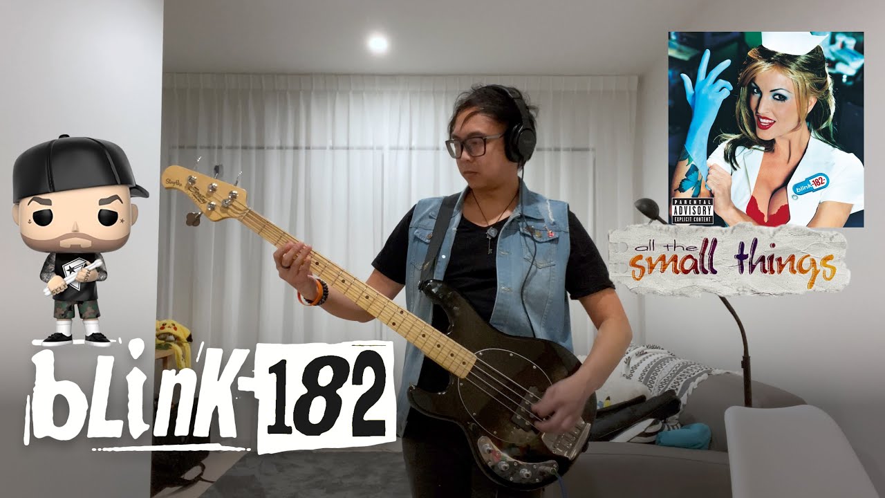 Blink-182 - All The Small Things | Bass Cover 🌹 🏠