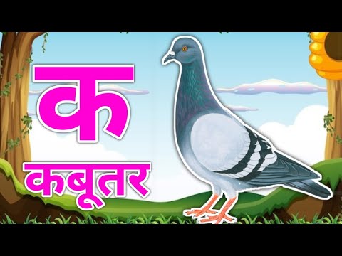 क से कबूतर | अ से अनार | a se anar | k se kabutar |Hindi varnmala | क से कबूतर ख से खरगोश |#cartoon