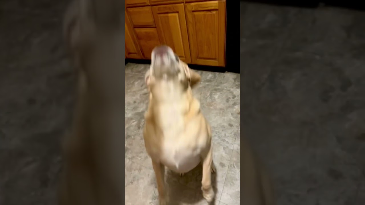 Current workout plan 