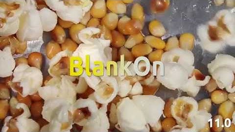 BlankOn 11.0 Run Through