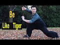 Shaolin kung fu wushu tiger style training  powerful tiger