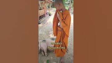 เณรเดี่ยว กับหมูแตงไทย