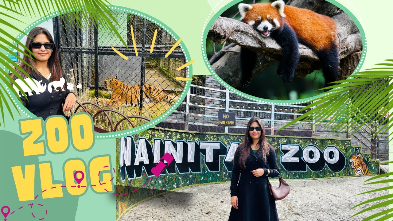 Nainital Zoo Tour | Leopard ,Tigers🐅 ,Dekhne Ka Experience 🐆 