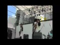 出雲ギターパンダ トヨタロックフェス2010(うたをうたおう)