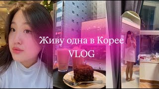 VLOG | Живу ОДНА в КОРЕЕ | Моя РАБОТА