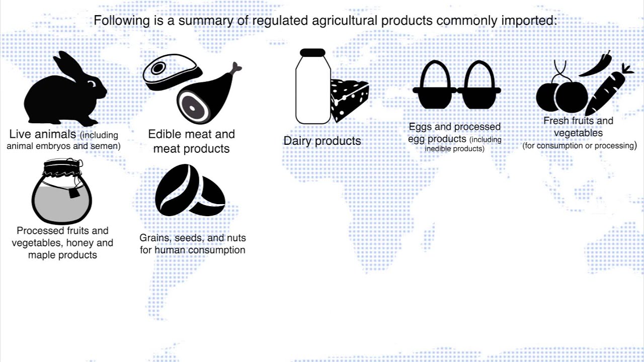 What imports are regulated by Canada Food Inspection Agency (CFIA