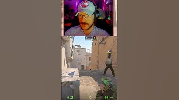 Nice Stanky Leg Dust 2 Cat Pistol Round