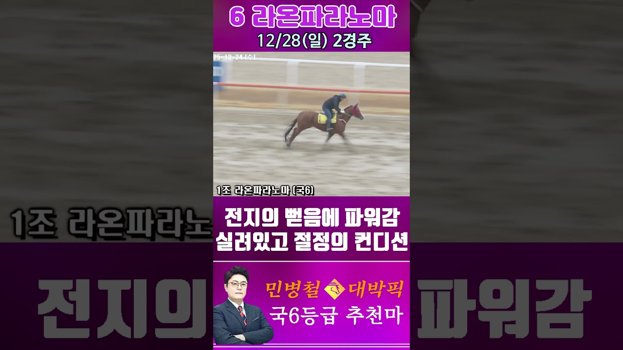 [서울 경마] 민병철 대박픽 2025년 12월 28일 일요 2R 추천마2 #경마 #horse #한국마사회 #automobile #하이라이트 #horseracing