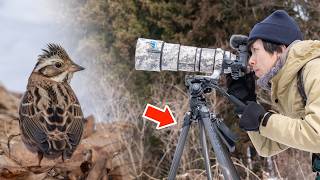 For advanced users] The tripod everyone has been looking for that