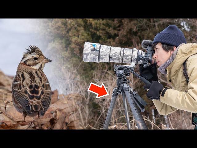 For advanced users] The tripod everyone has been looking for that
