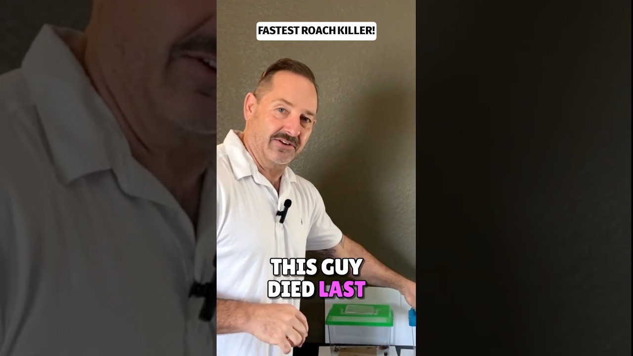 Какая приманка для тараканов работает БЫСТРЕЕ всего? 🪳 Тест в прямом эфире