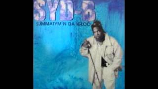 Syd B "Summatym n da igloo"