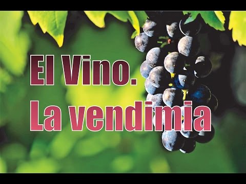 1/5. LA VENDIMIA - ELABORACION CASERA Y TRADICIONAL DEL VINO.