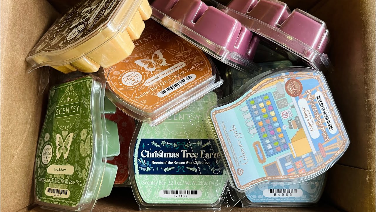 Последняя покупка Scentsy в 2025 году.