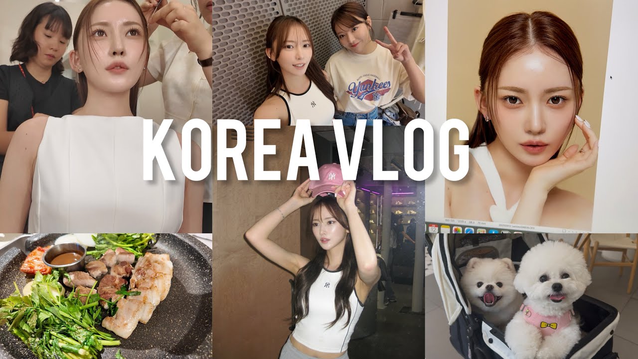 【VLOG】韓国生活の日常やお仕事の様子など🍚🐶