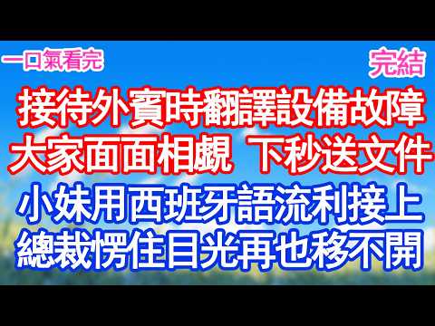 接待外賓時翻譯設備故障大家面面相覷 下秒送文件的小妹用西班牙語流利接上總裁愣住目光再也移不開#甜寵 #閃婚#情感故事 #霸道總裁 #婚姻#都市愛情 #先婚後愛 #霸道總裁