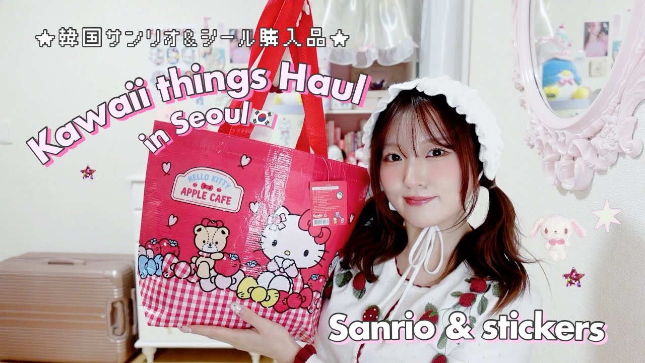 韓国サンリオ&シール購入品紹介★⋆｡°+