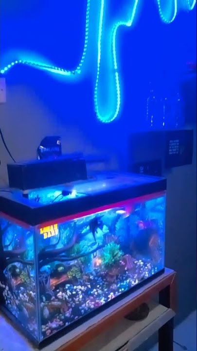STORY WA KAMAR TIDUR AESTHETIC