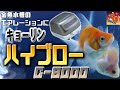 爆裂エアレーションと静音性を両立！【キョーリン ハイブロー C-8000】