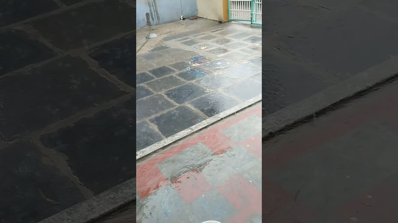 full rain # all farmers be happy 🪴🌴🎄🎋