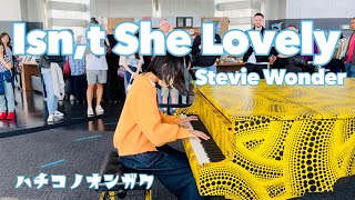 Stevie Wonder - Isn't She Lovely Jazz Piano (Age13) Tokyo Metropolitan Government Building 東京都庁ピアノ