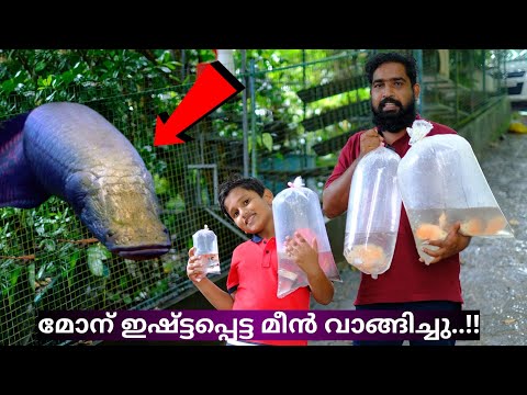100kg ... / Brought New Fish