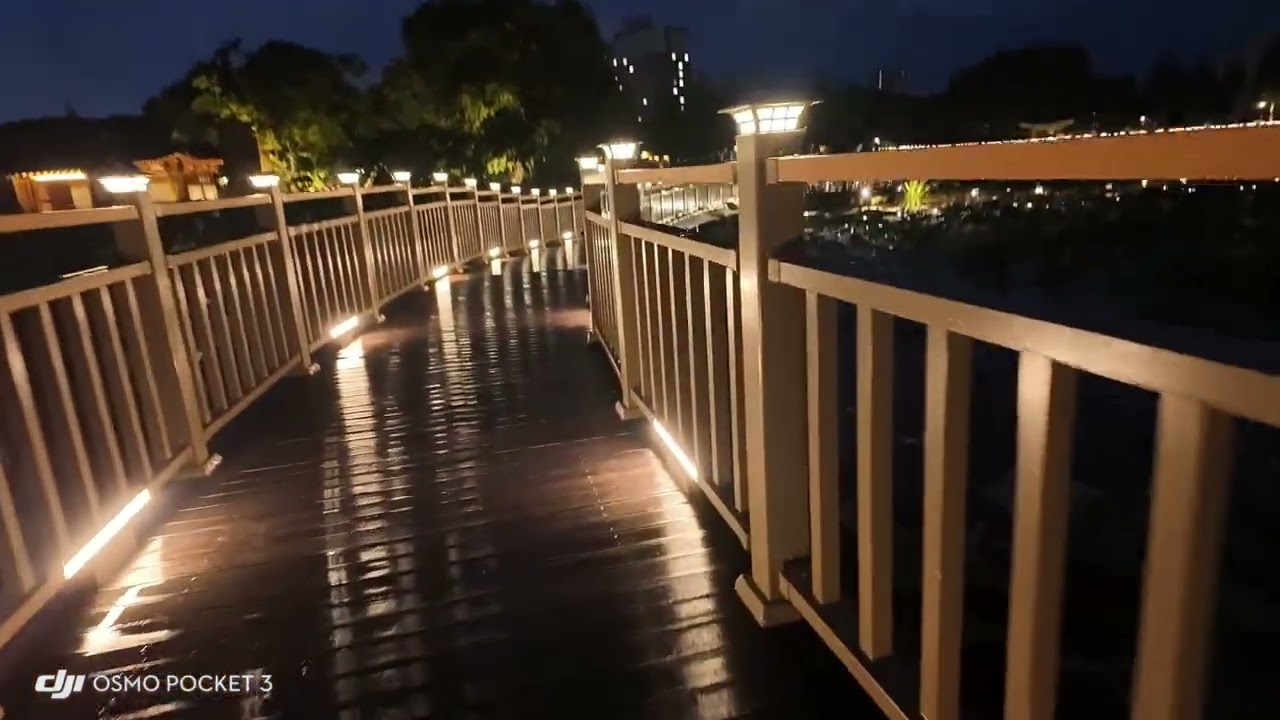 덕진공원 연화교 🌃 25년 여름