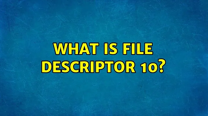 What is file descriptor 10? (3 Solutions!!)