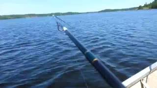 New best so far  spot for walleye fishing on Lake Huron North Channel