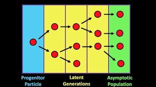 NE499/515 - Lecture 17: Sensitivity Analysis in Nuclear Criticality Safety
